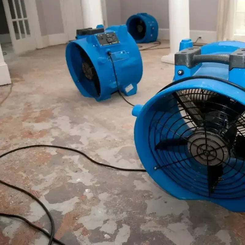 Blue air movers lined up on a bare floor in a Berkeley room