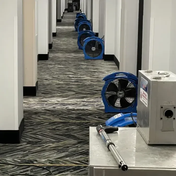 Air movers and a dehumidifier lined along a carpeted office hallway