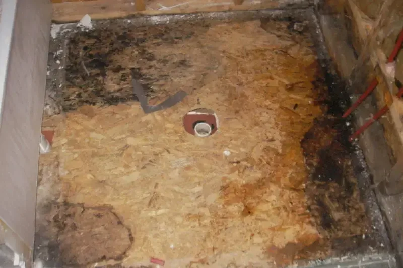 Bathroom floor and shower area opened up during a bathroom water cleanup