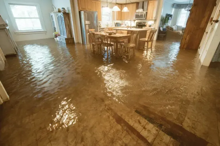 Standing water spread across a home floor before extraction starts